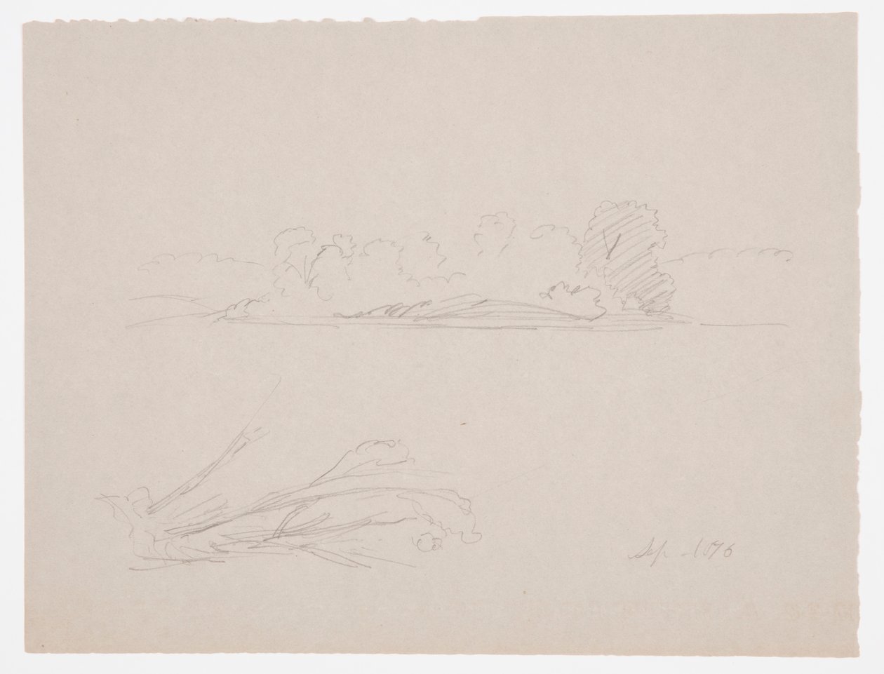 Dessin, croquis botaniques : paysage, arbres sur un rivage, septembre 1876 - Frederic Edwin Church