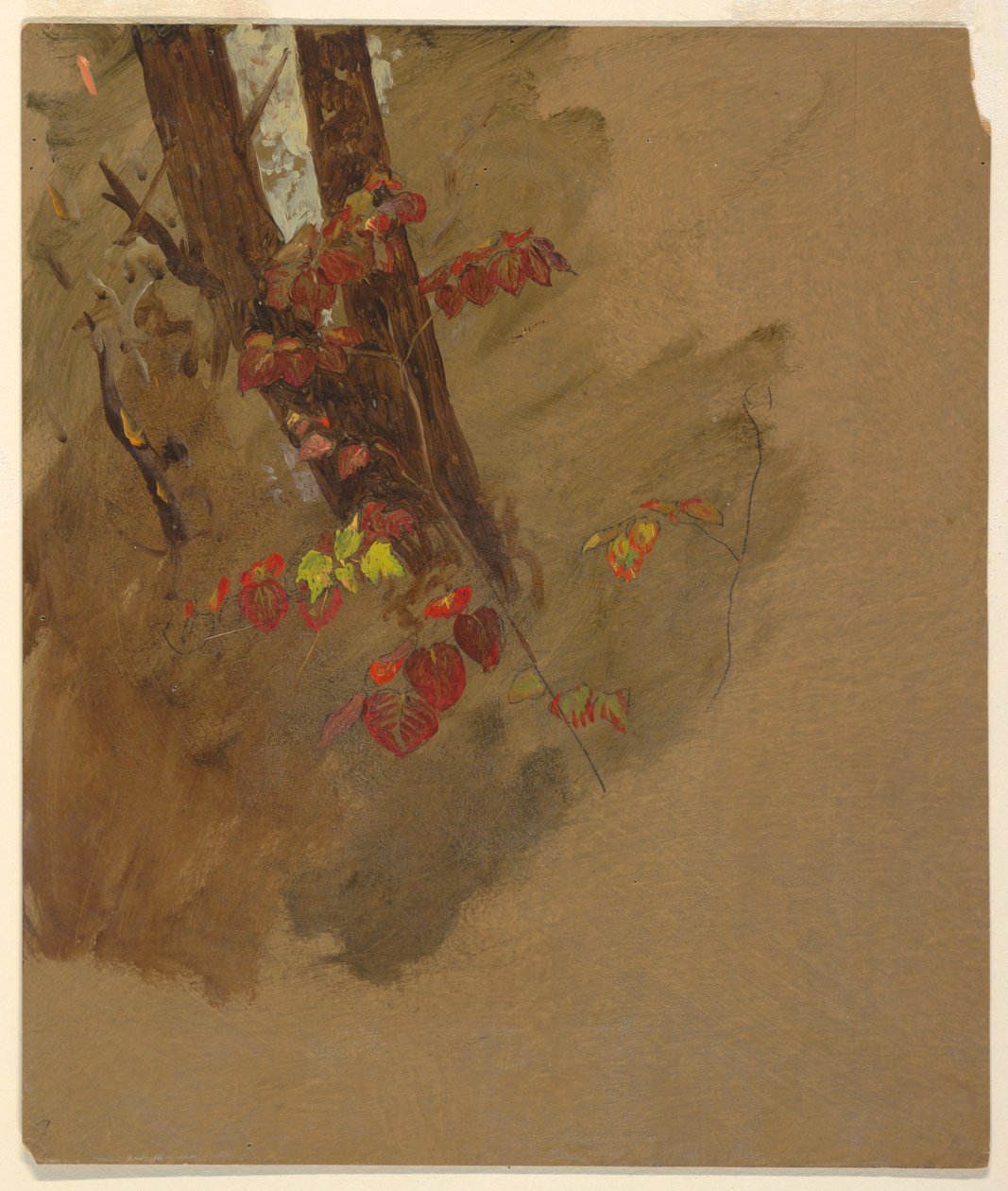 Dessin, études botaniques, 1860-70 - Frederic Edwin Church