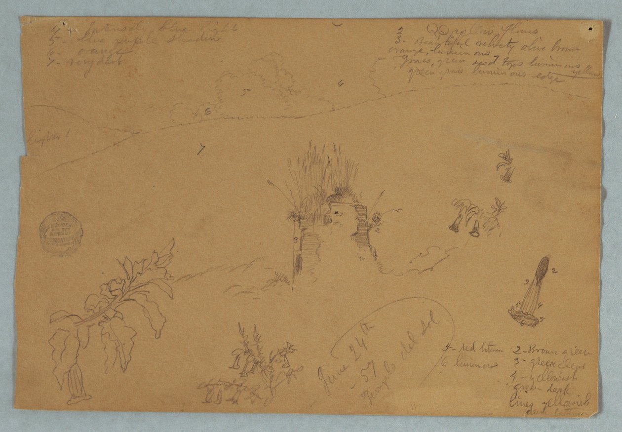 Dessin. Croquis botaniques et de nuages près de Quito, Équateur - Frederic Edwin Church