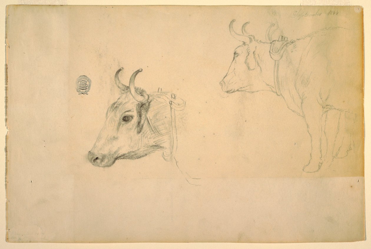 Dessin, bétail, septembre 1844 - Frederic Edwin Church