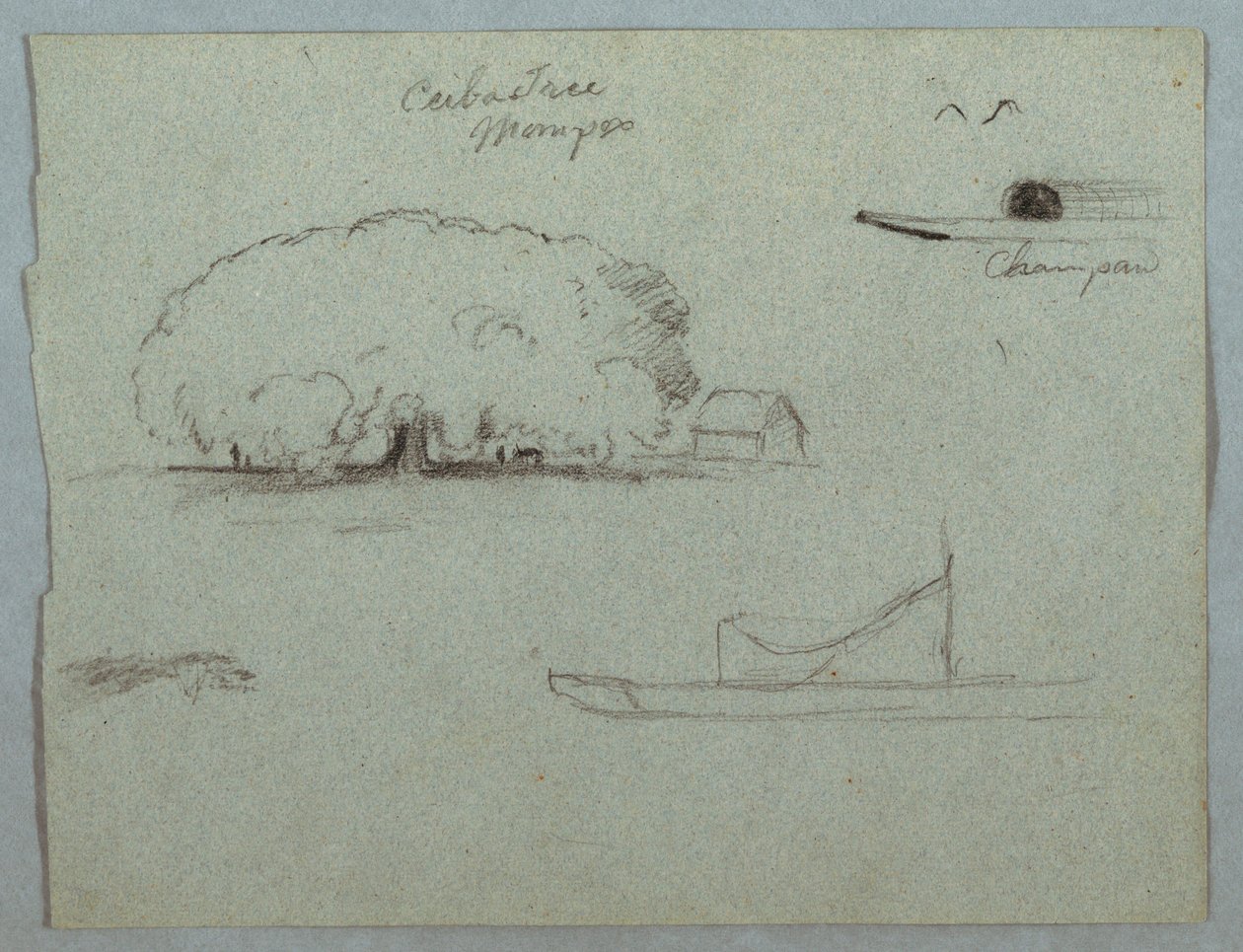 Dessin, arbre Ceiba à Mompos, canoë Champan, arbres et bateau partiel, Rio Magdelena, Colombie, 1853, probablement mai - Frederic Edwin Church