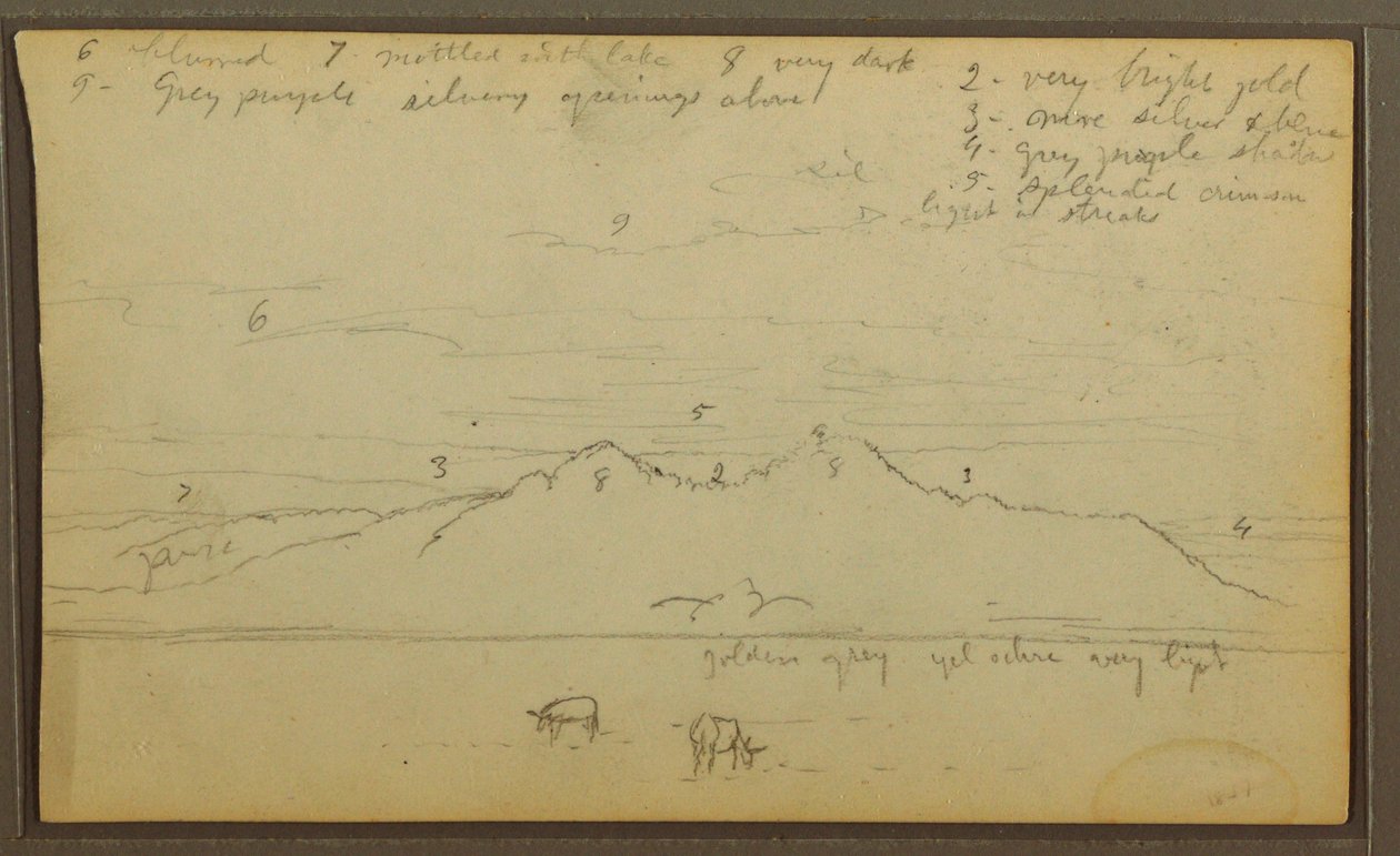 Dessin, vaches dans un paysage ; verso : bambou, 1857 - Frederic Edwin Church
