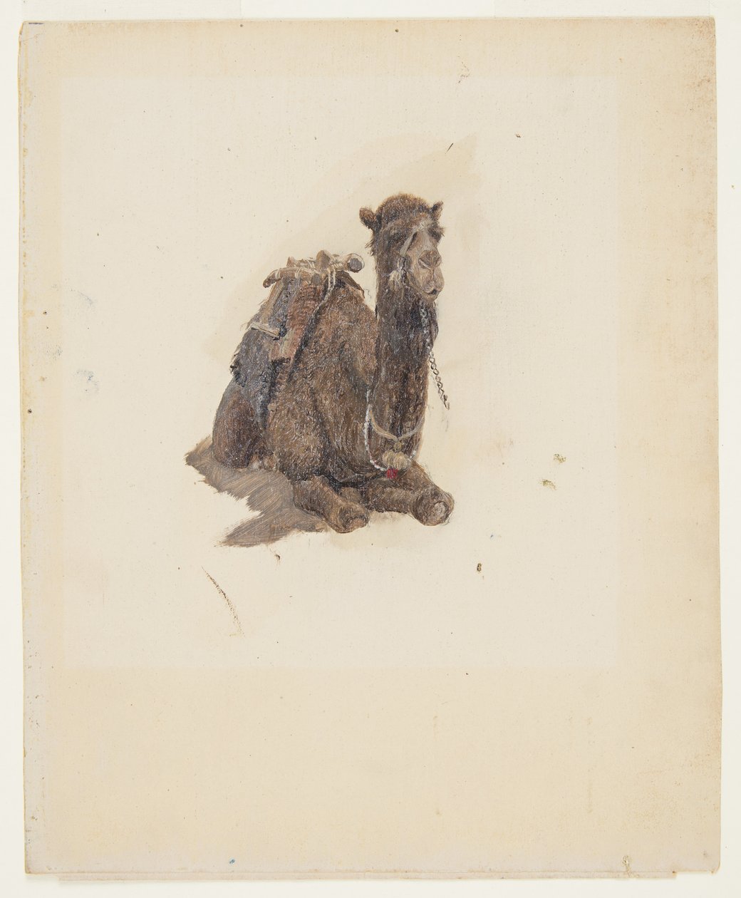 Dessin, dromadaire accroupi, 1868 - Frederic Edwin Church