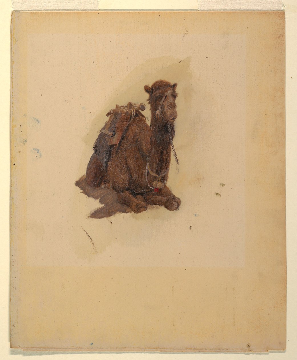 Dessin, dromadaire accroupi, 1868 - Frederic Edwin Church