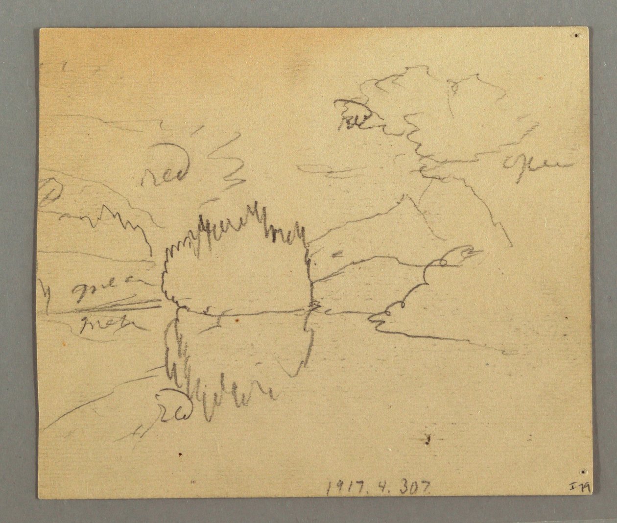 Dessin, arbres morts, plante, peut-être 1868 - Frederic Edwin Church