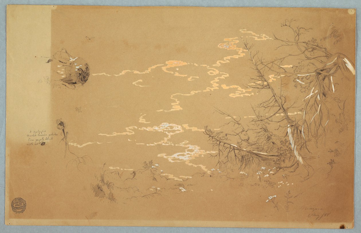 Dessin, Vue détaillée du bord de la banque canadienne, août 1858 - Frederic Edwin Church