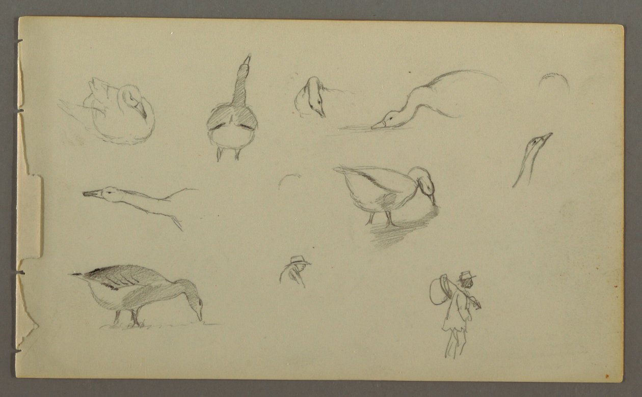 Dessin, huit études de canards, deux stuides de figures, peut-être 1857-58 - Frederic Edwin Church