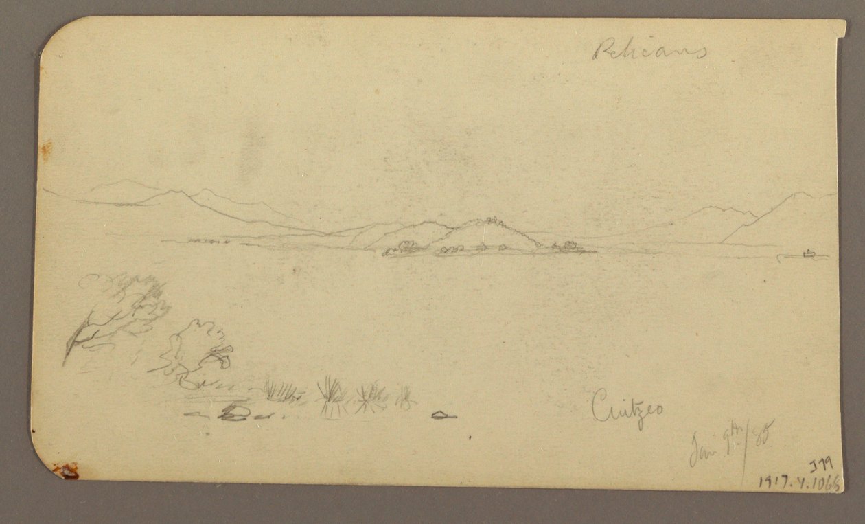 Dessin, personnage et charrette à bœufs, cyprès ; verso : vue du lac de Cuitzeo, janvier 1885 - Frederic Edwin Church