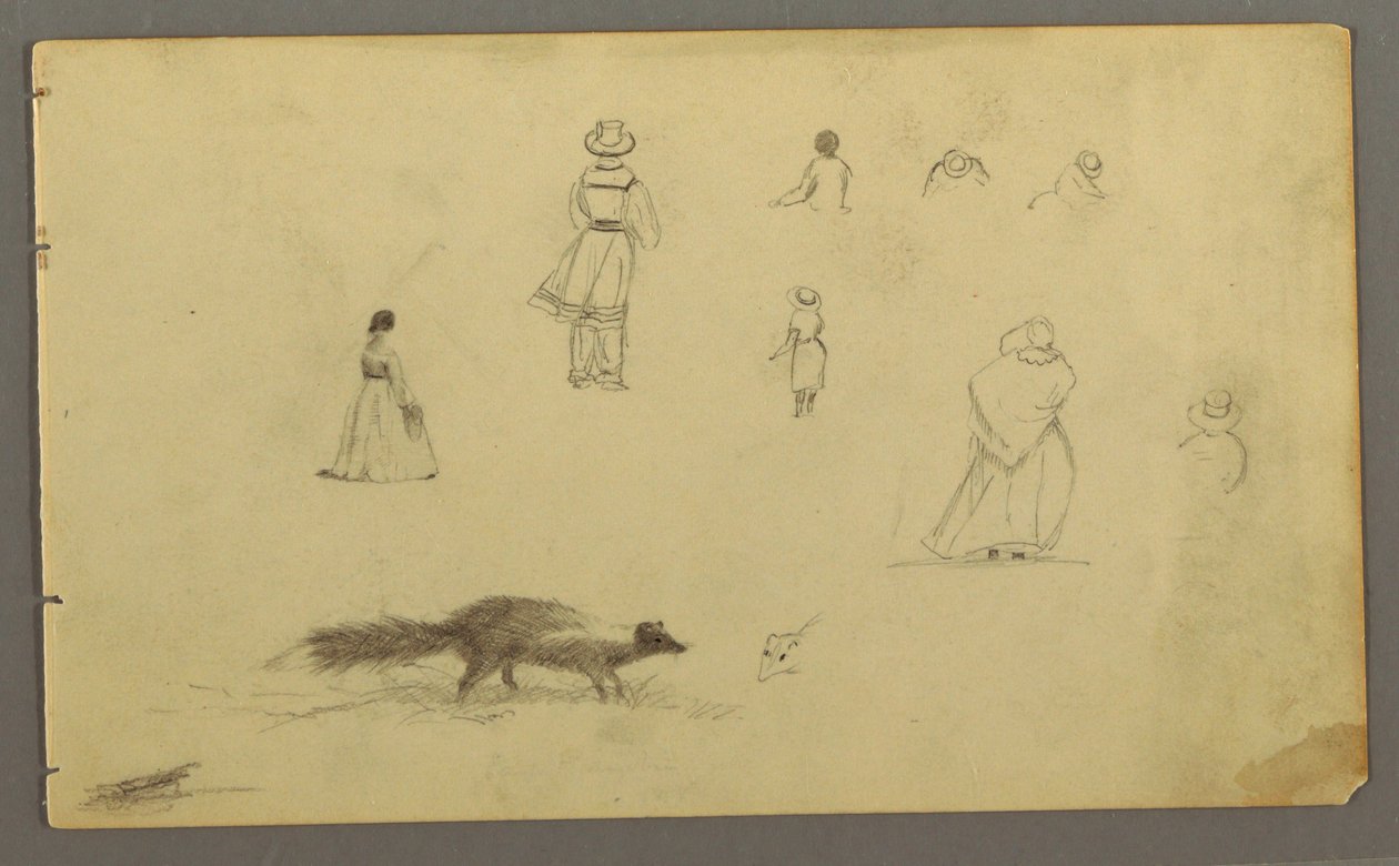 Dessin, Études de figures de dos, un putois, peut-être 1857-58 - Frederic Edwin Church