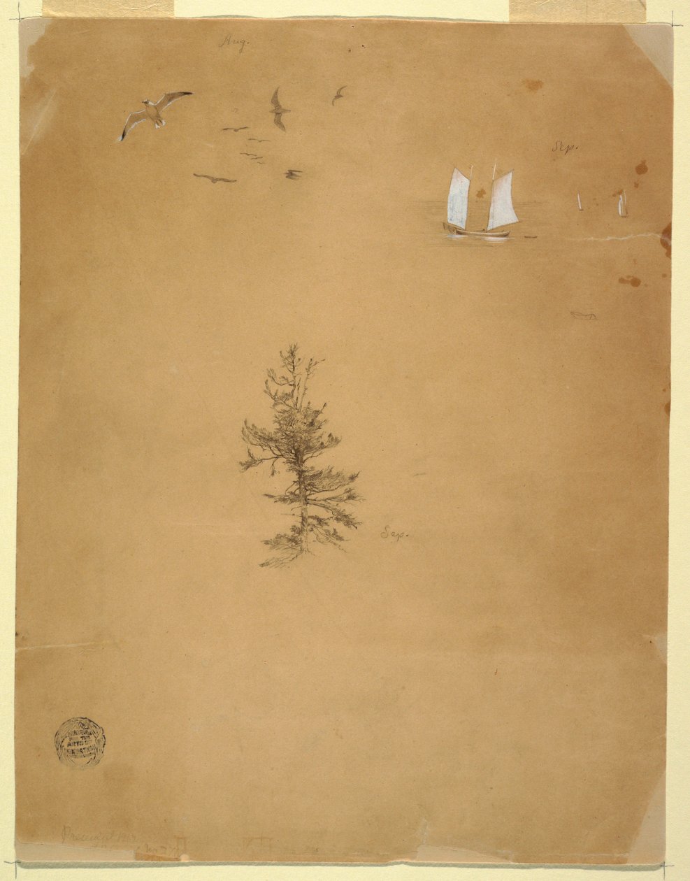Dessin, mouettes, voiliers, arbre, août et septembre 1859 - Frederic Edwin Church