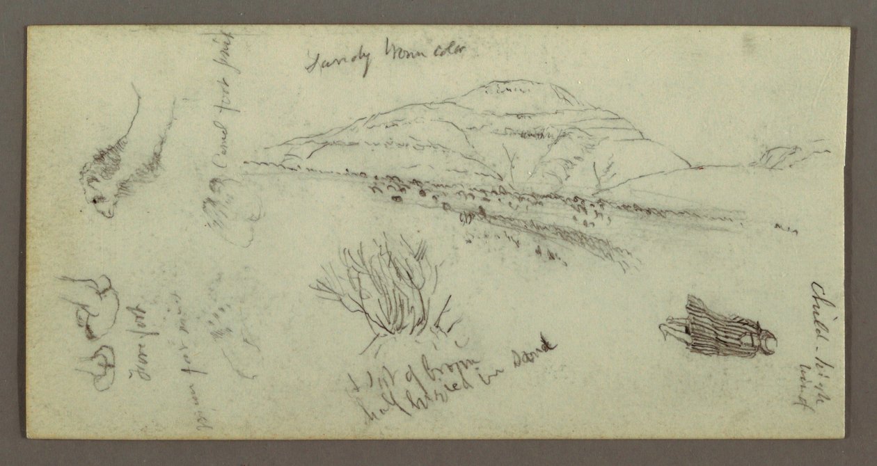 Dessin, colline, arbustes, personnage, études sur les chameaux, peut-être 1868 - Frederic Edwin Church