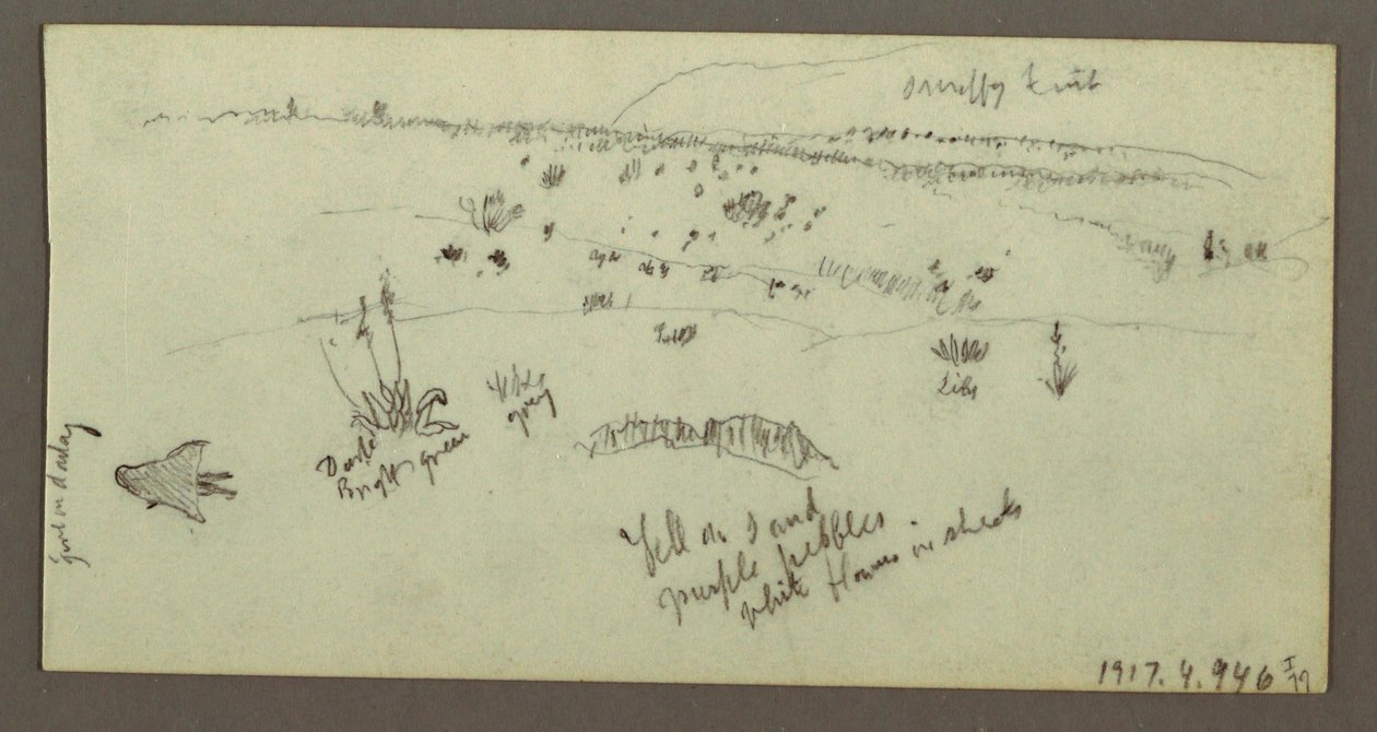 Dessin, colline, arbustes, personnage, études sur les chameaux, peut-être 1868 - Frederic Edwin Church