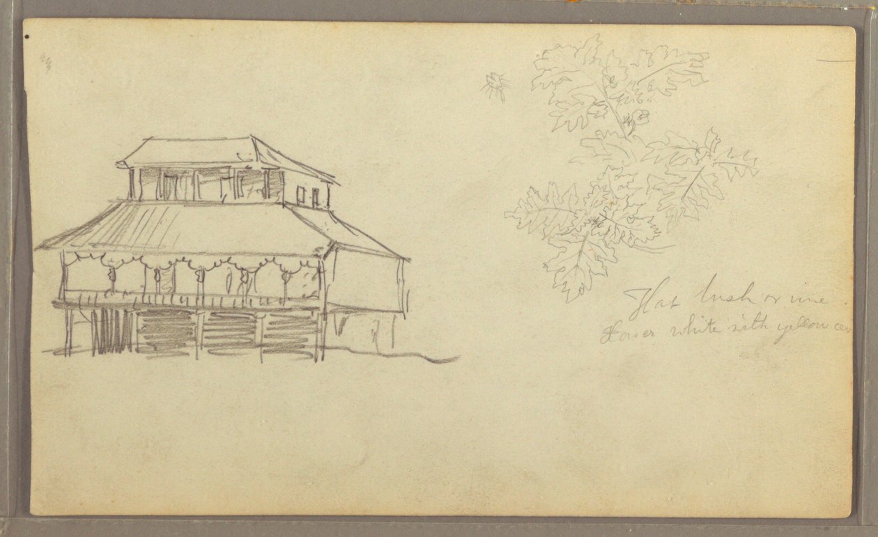 Dessin, maison, croquis botanique, Équateur ou Colombie, 1857 - Frederic Edwin Church