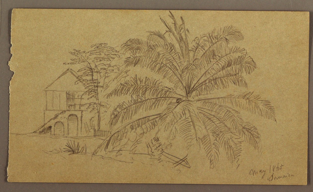 Dessin, maison et fougère, mai 1865 - Frederic Edwin Church