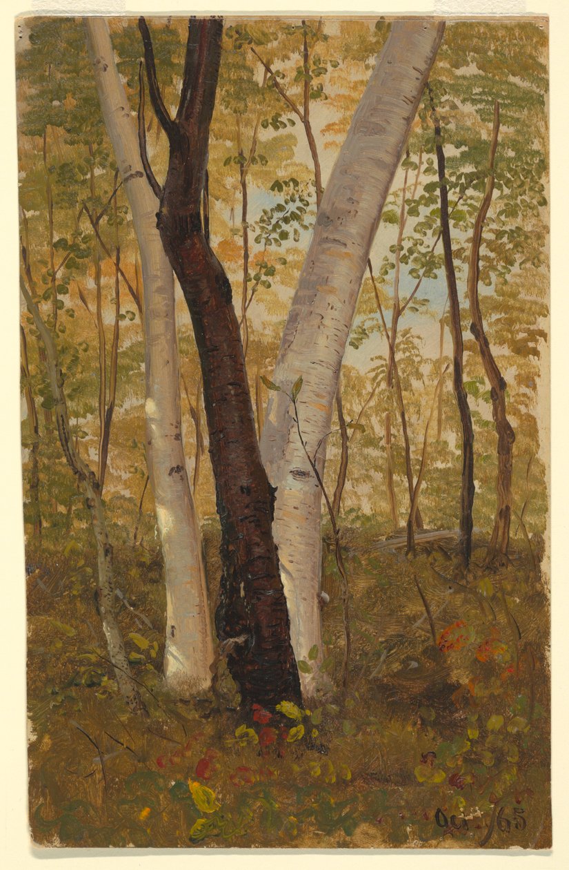 Dessin, Dans les bois, Hudson, New York, octobre 1865 - Frederic Edwin Church
