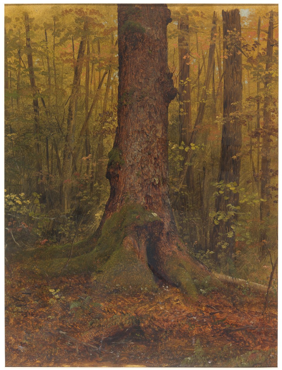 Dessin, Dans les bois, probablement dans le Maine, 1850-60 - Frederic Edwin Church