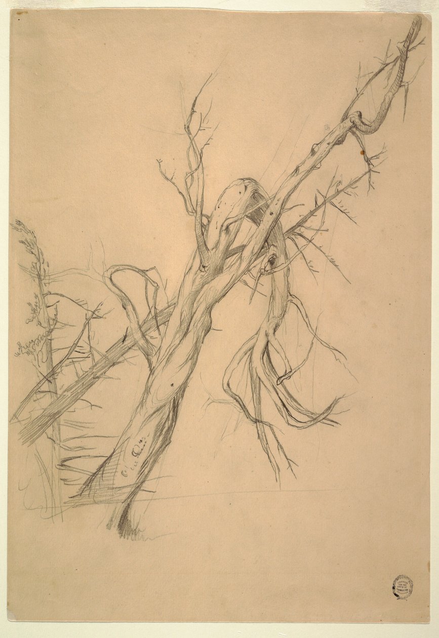 Dessin, campement indien, Grand Manan, baie de Fundy, septembre 1851 - Frederic Edwin Church