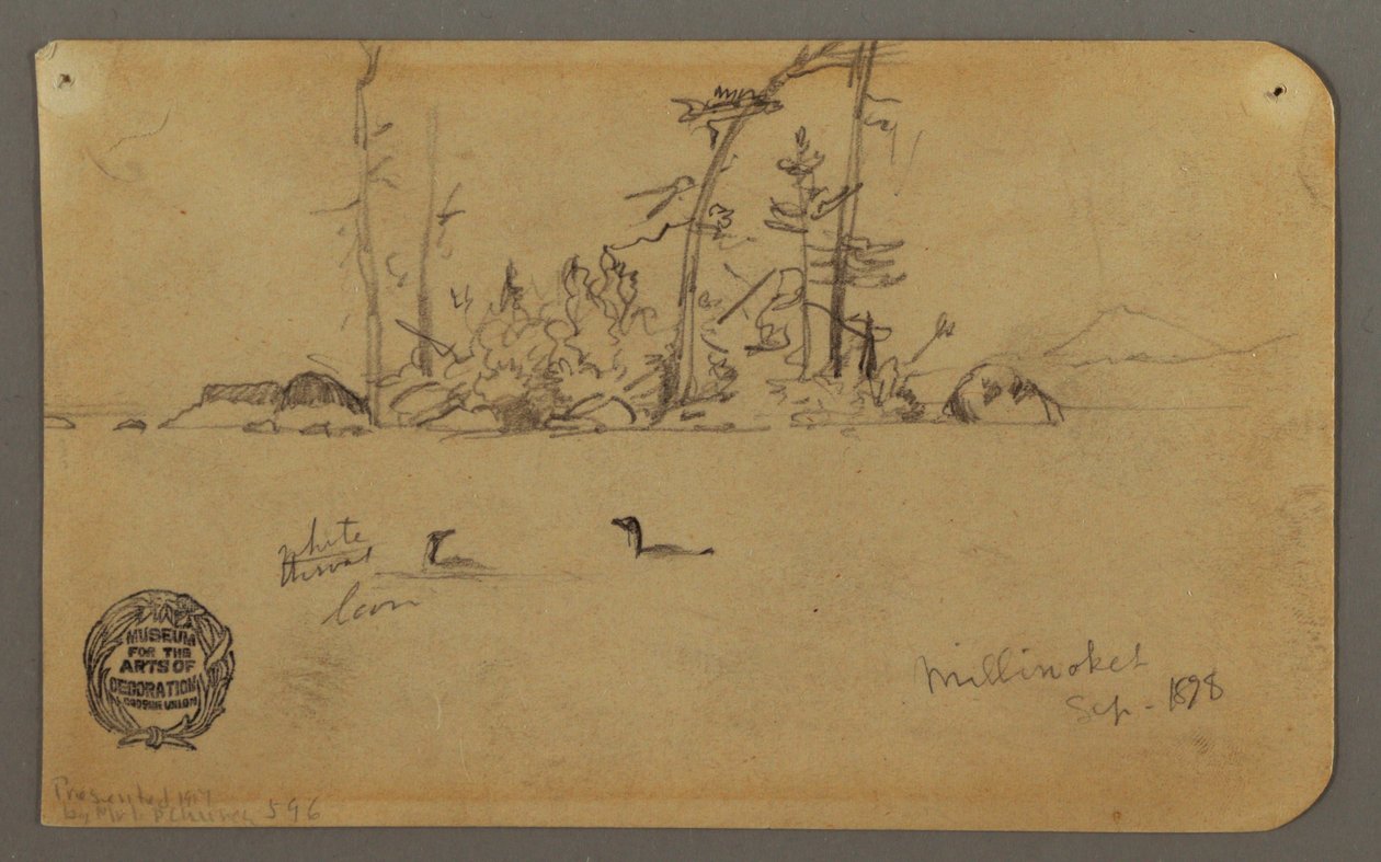 Dessin, île, deux huards, 1878 - Frederic Edwin Church