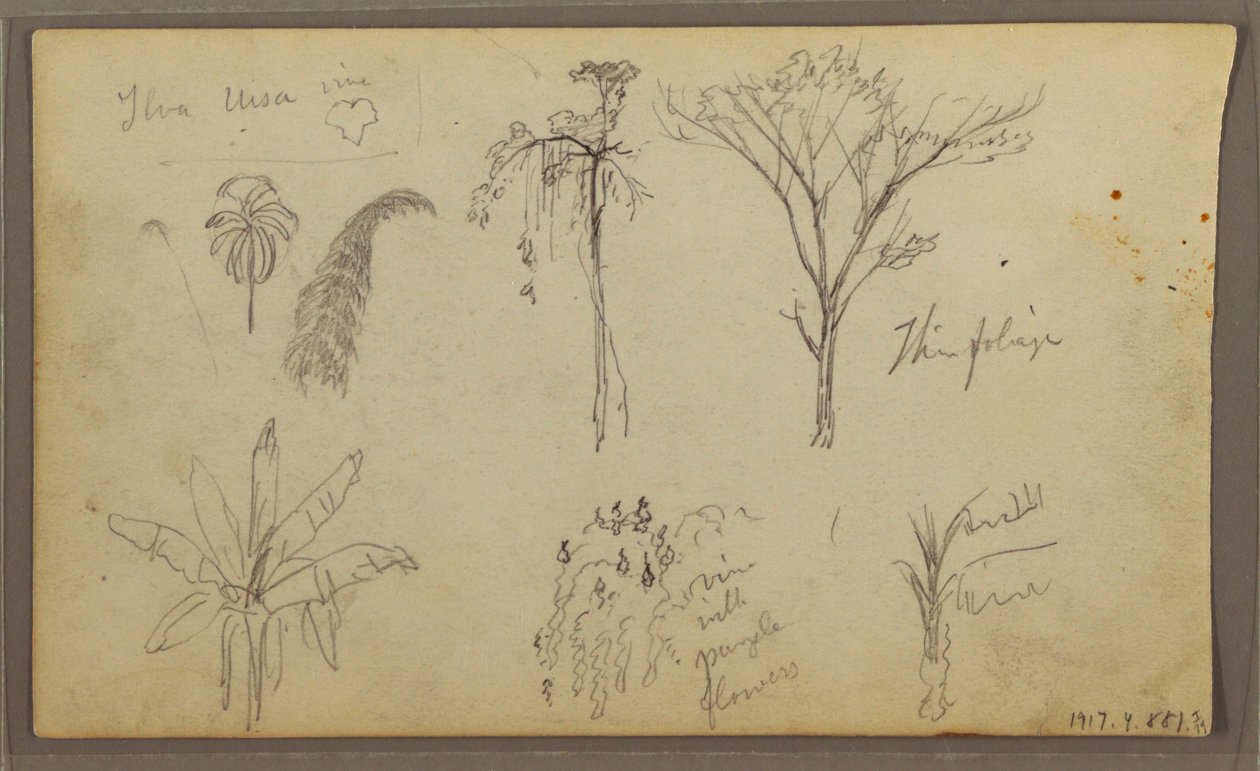 Dessin, paysage, Guayaquil, Équateur, 21 mai 1857 - Frederic Edwin Church