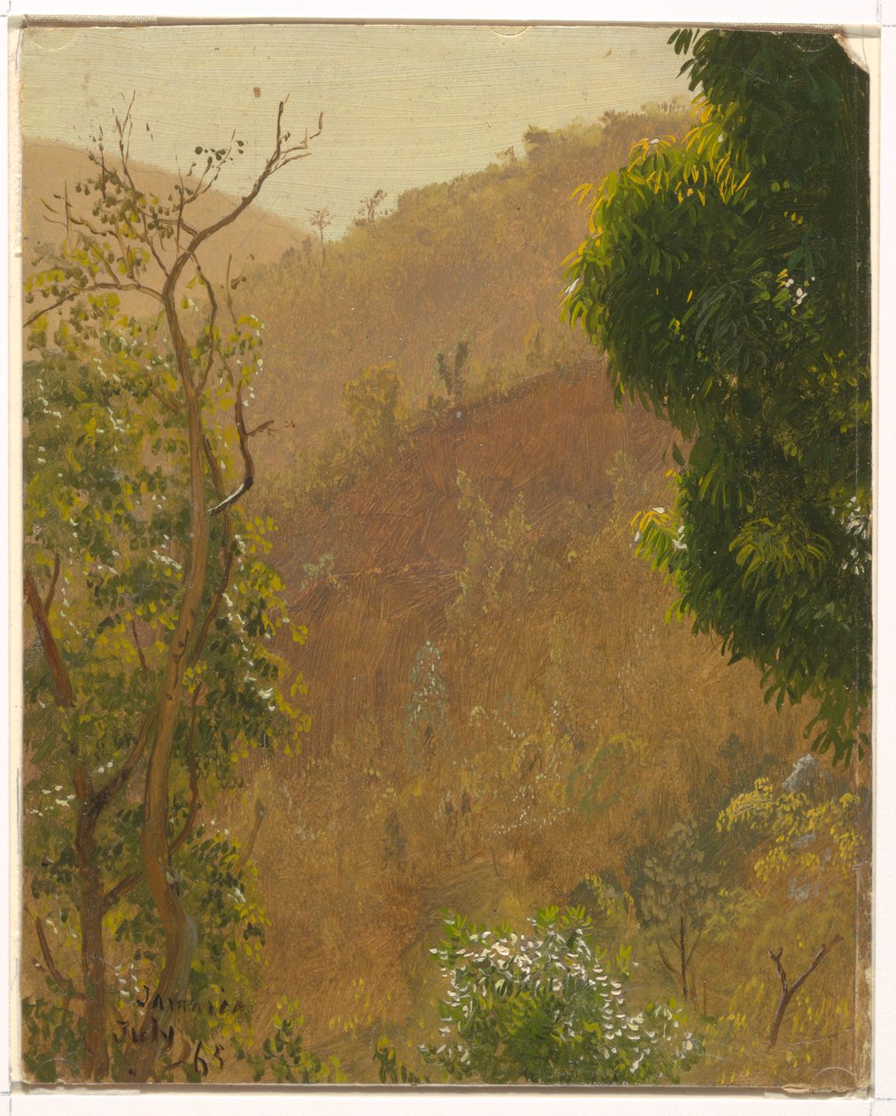 Dessin, paysage, juillet 1865 - Frederic Edwin Church