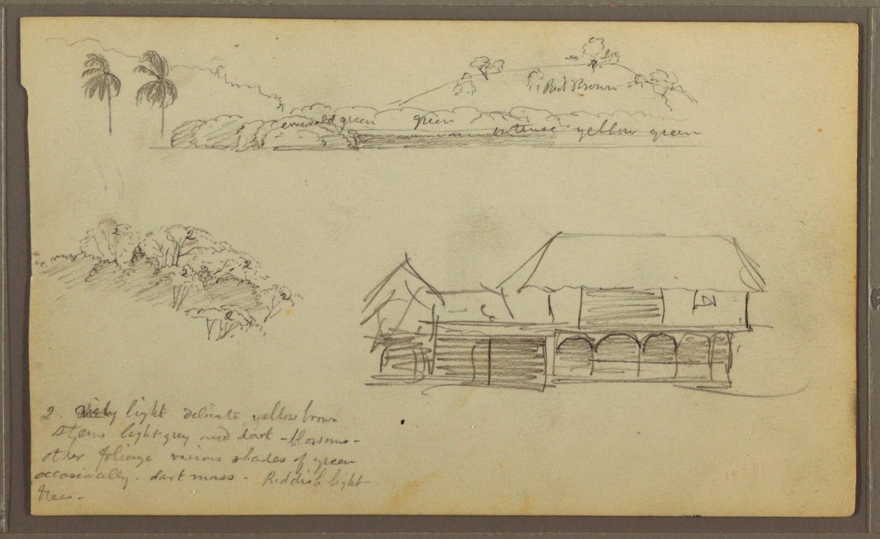 Dessin, paysage, cime des arbres, maison, 1857 - Frederic Edwin Church