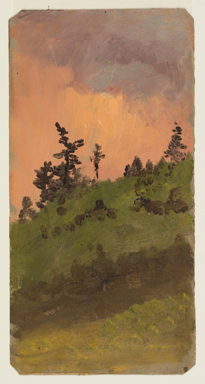 Dessin, Paysage au bois, juin 1870 - Frederic Edwin Church