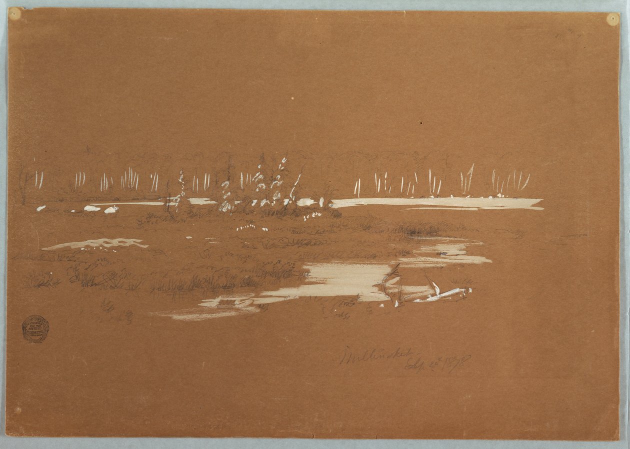 Dessin, paysage marécageux près de Millinocket, 20 septembre 1878 - Frederic Edwin Church
