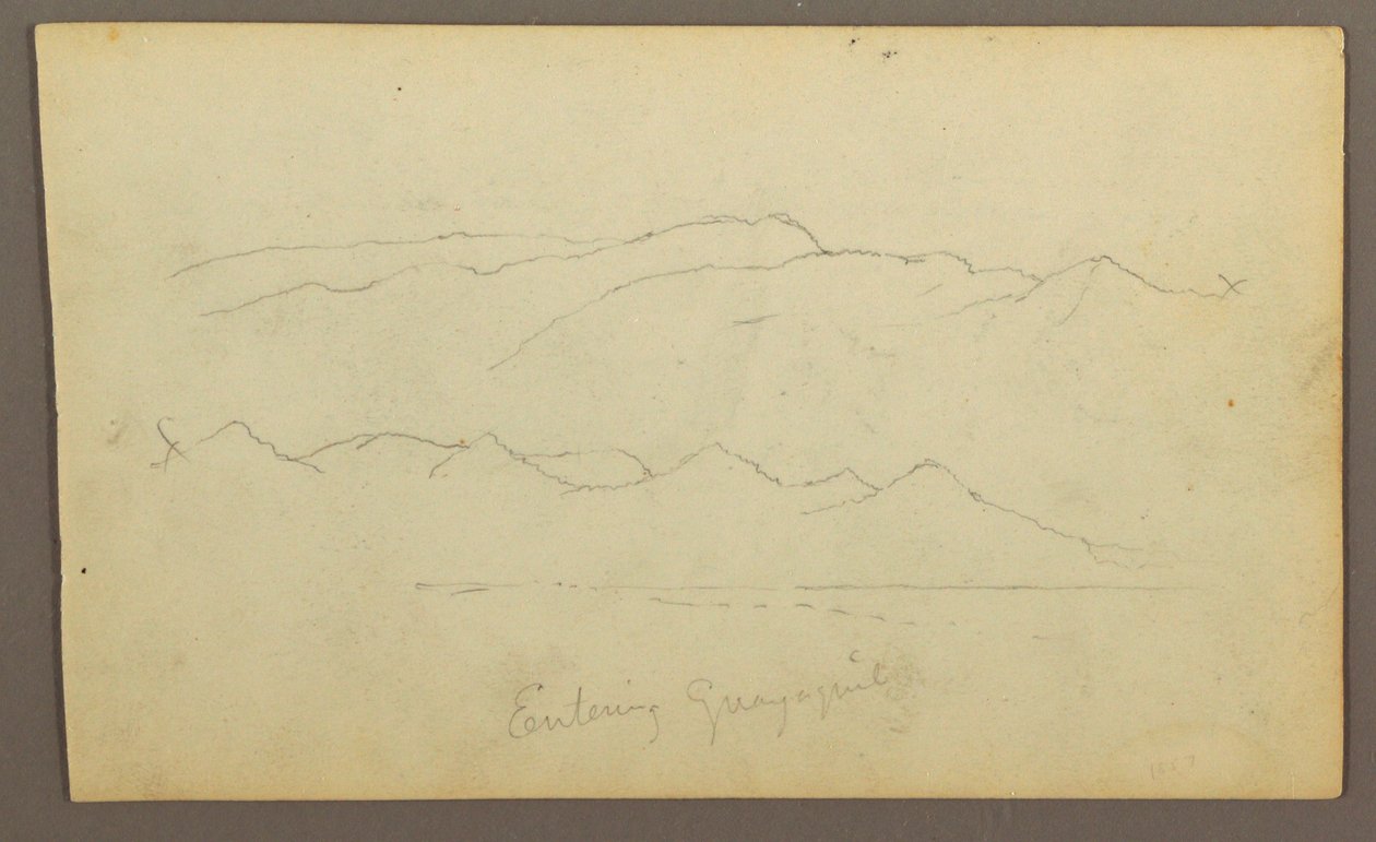 Dessin, chaînes de montagnes "entrant dans Guayaquil" ; verso : rive du fleuve, croquis botaniques, peut-être 1857 - Frederic Edwin Church