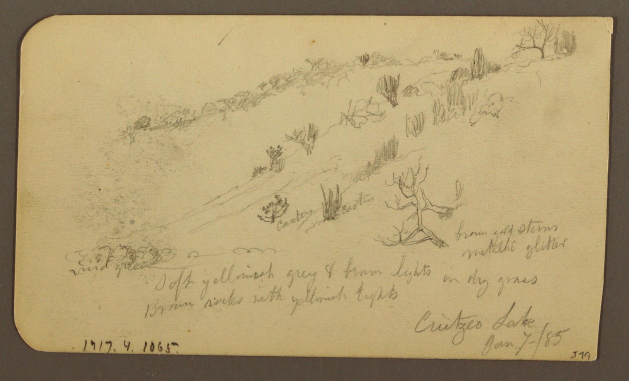 Dessin, montagne, Zapotlan ; verso : colline boisée, lac de Cuitzeo, janvier 1885 - Frederic Edwin Church