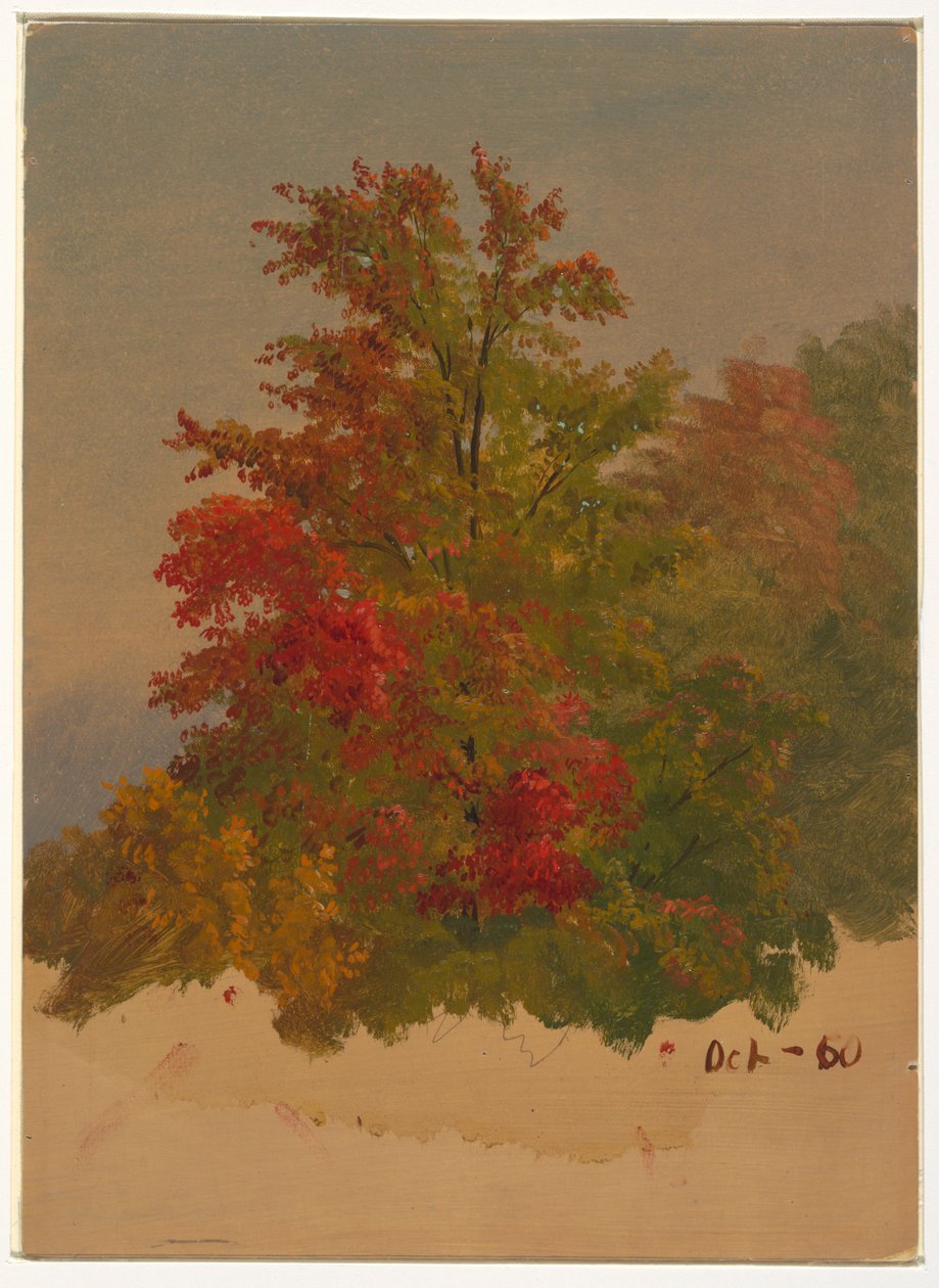Dessin, Mt. Desert Island , Maine, octobre 1860 - Frederic Edwin Church