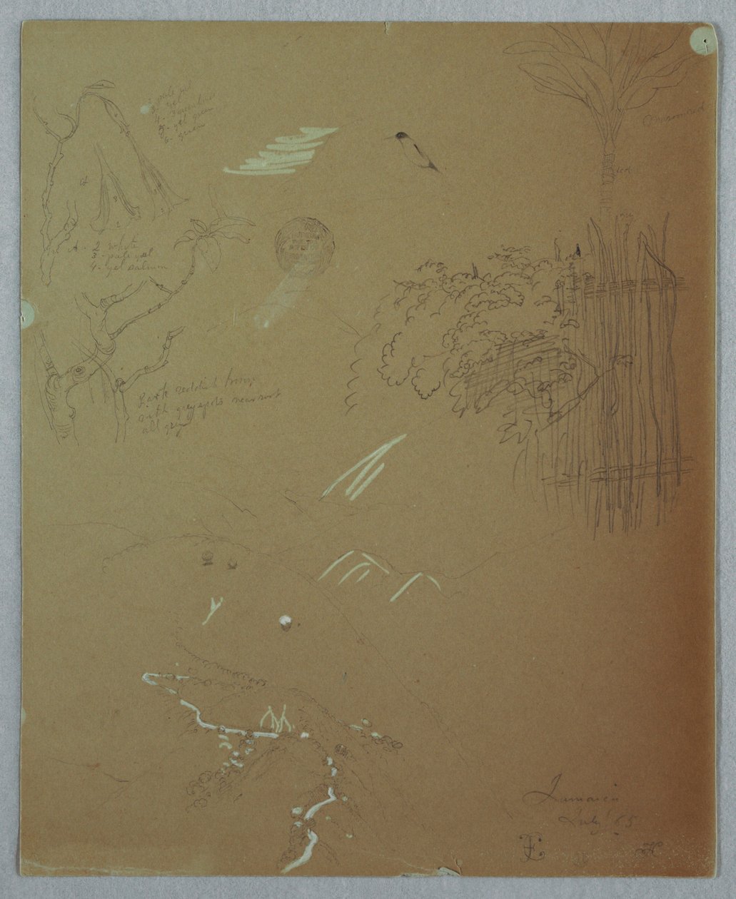 Dessin, études de la nature, montagnes bleues, Jamaïque, juillet 1865 - Frederic Edwin Church