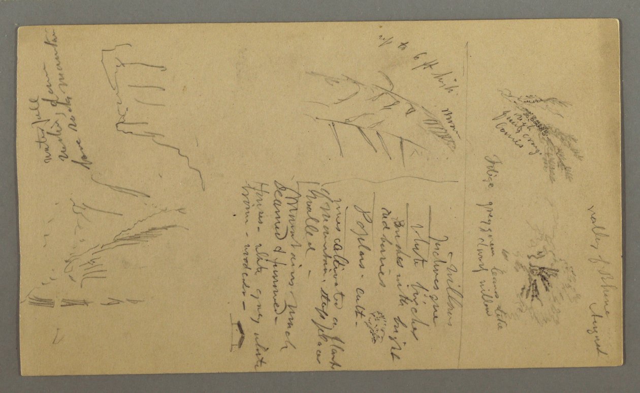 Dessin, Études de plantes, Notes sur les plantes, Cascade, 1868 - Frederic Edwin Church