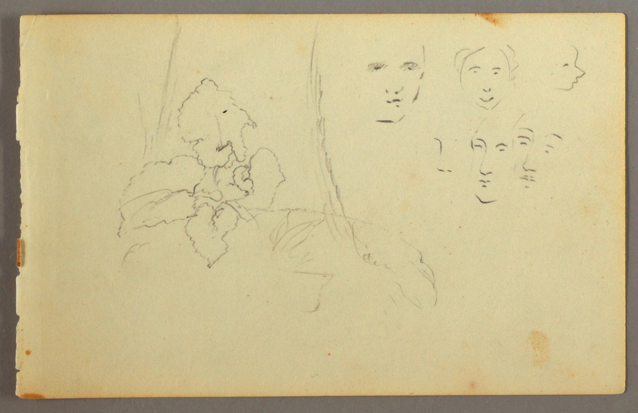 Dessin, étude de plantes, visages, peut-être 1844 - Frederic Edwin Church