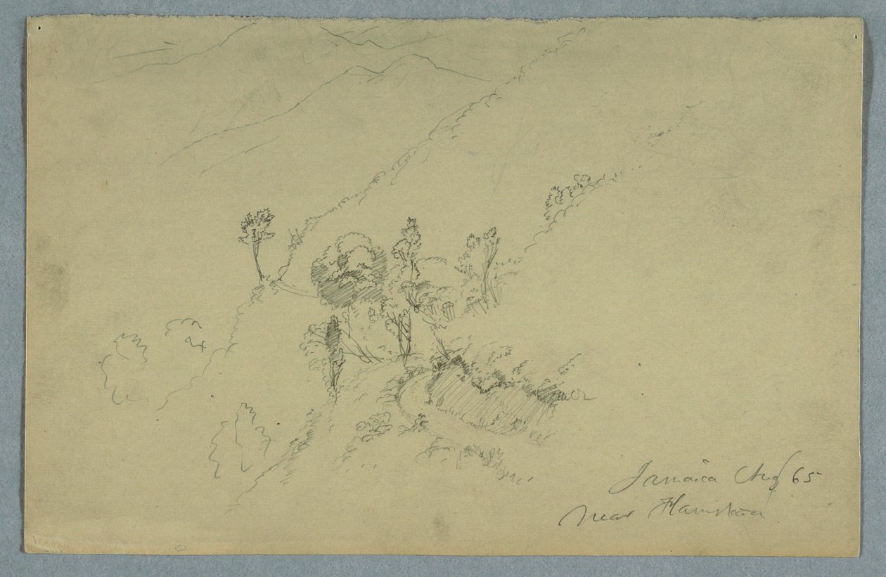 Dessin, route à travers les Blue Mountains, près de Homestead, Jamaïque, août 1865 - Frederic Edwin Church