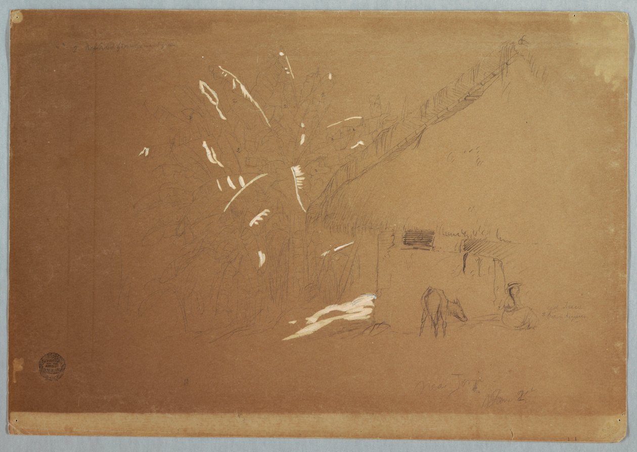 Dessin, Femme assise et âne broutant devant une maison près de Jorje, Équateur, 23 juin 1857 - Frederic Edwin Church