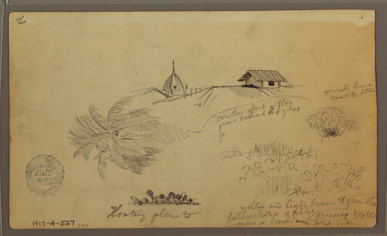 Dessin, Ciel sur la mer ; Verso : Croquis botaniques, Toits, mai 1857 - Frederic Edwin Church