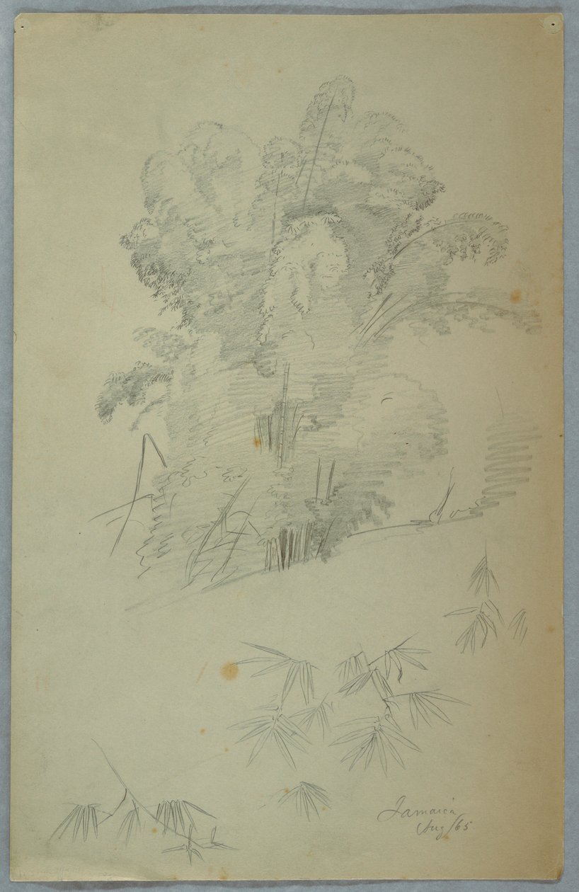 Dessin, Études d