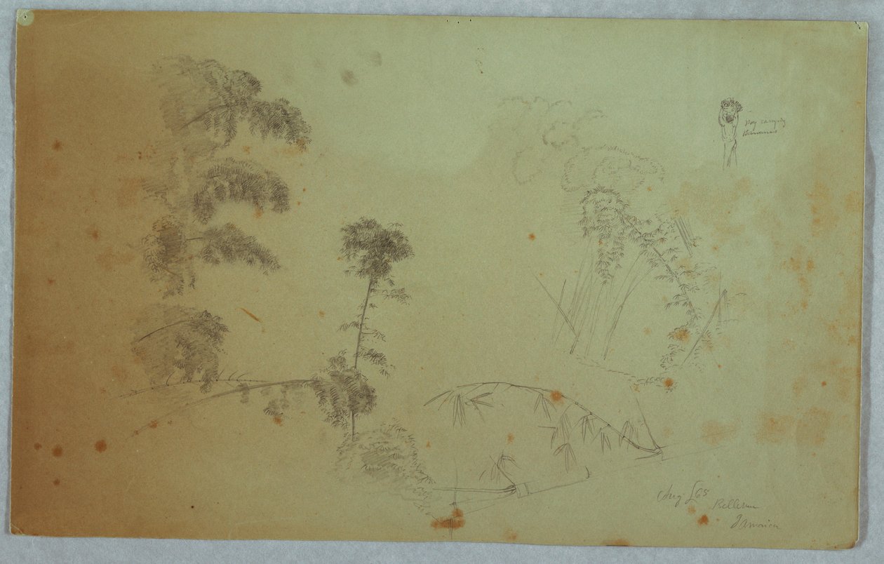 Dessin, études d
