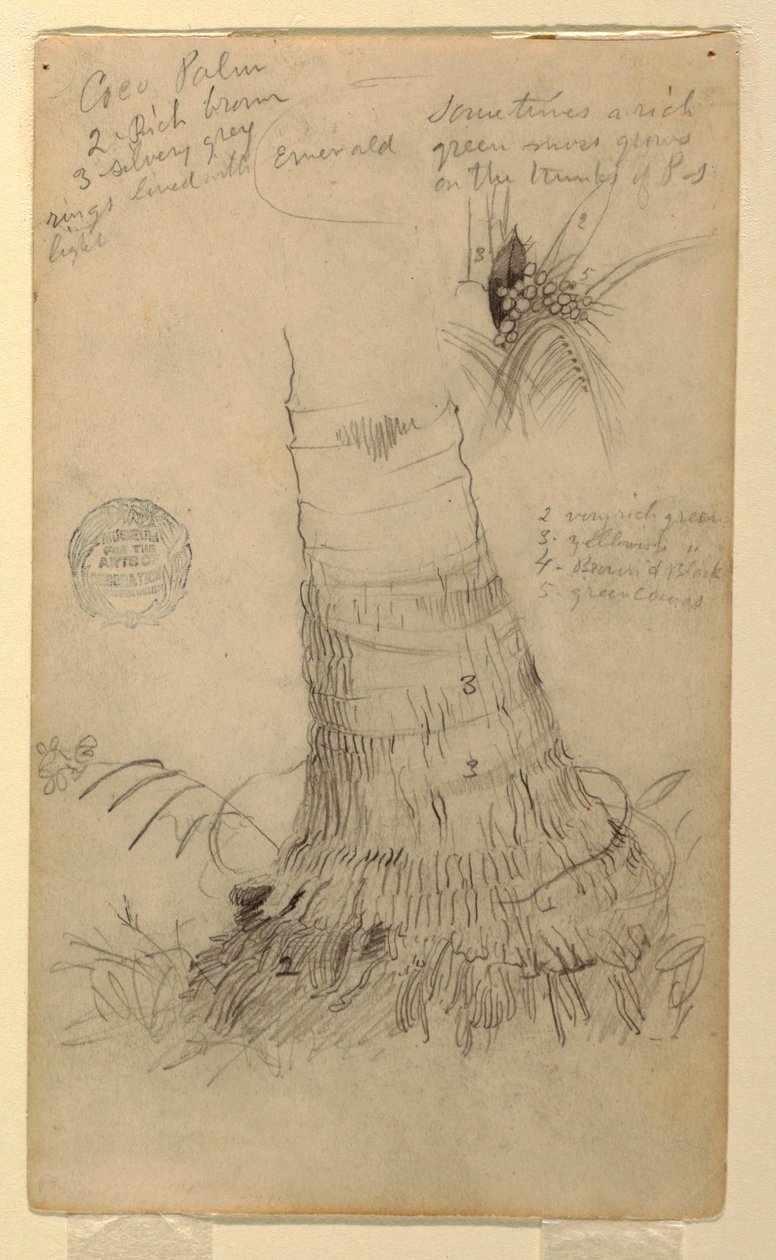 Dessin, études d