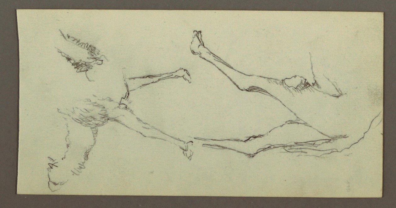 Dessin, étude des pattes de chameau, peut-être 1868 - Frederic Edwin Church