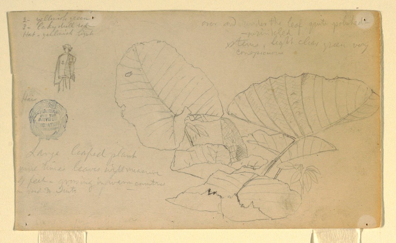 Dessin, Étude d