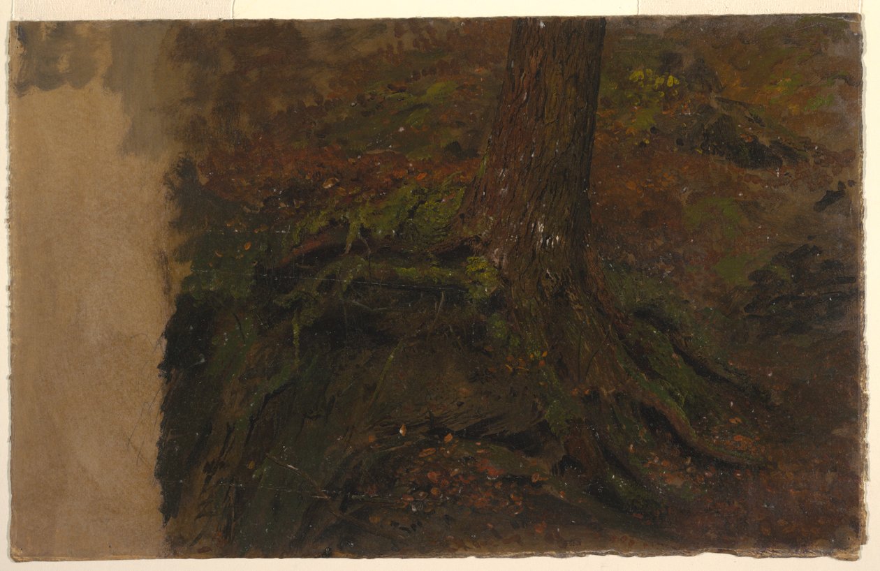Dessin, étude d