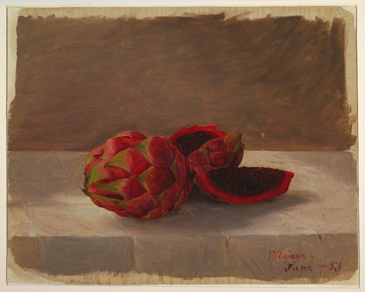 Dessin, le fruit Pitajaya, Colombie, juin 1853 - Frederic Edwin Church