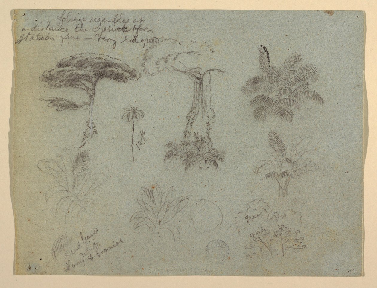 Dessin, Études d