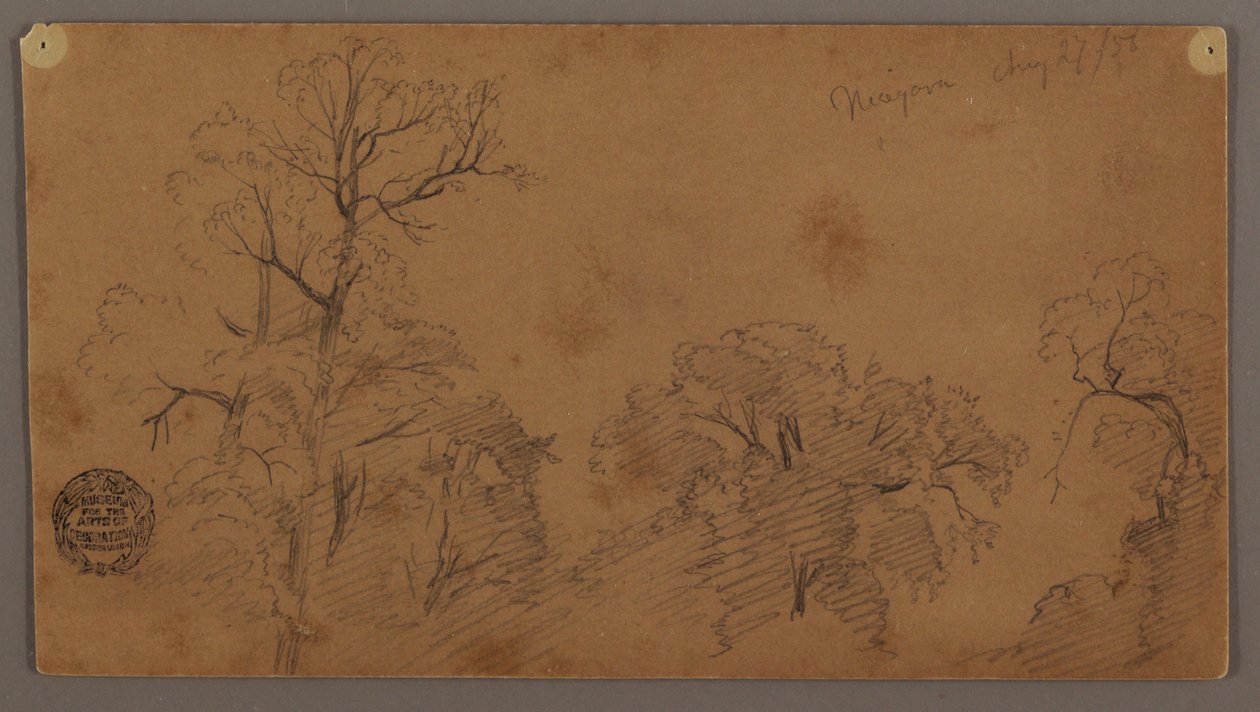 Dessin, cime des arbres, Niagara, 27 août 1856 - Frederic Edwin Church