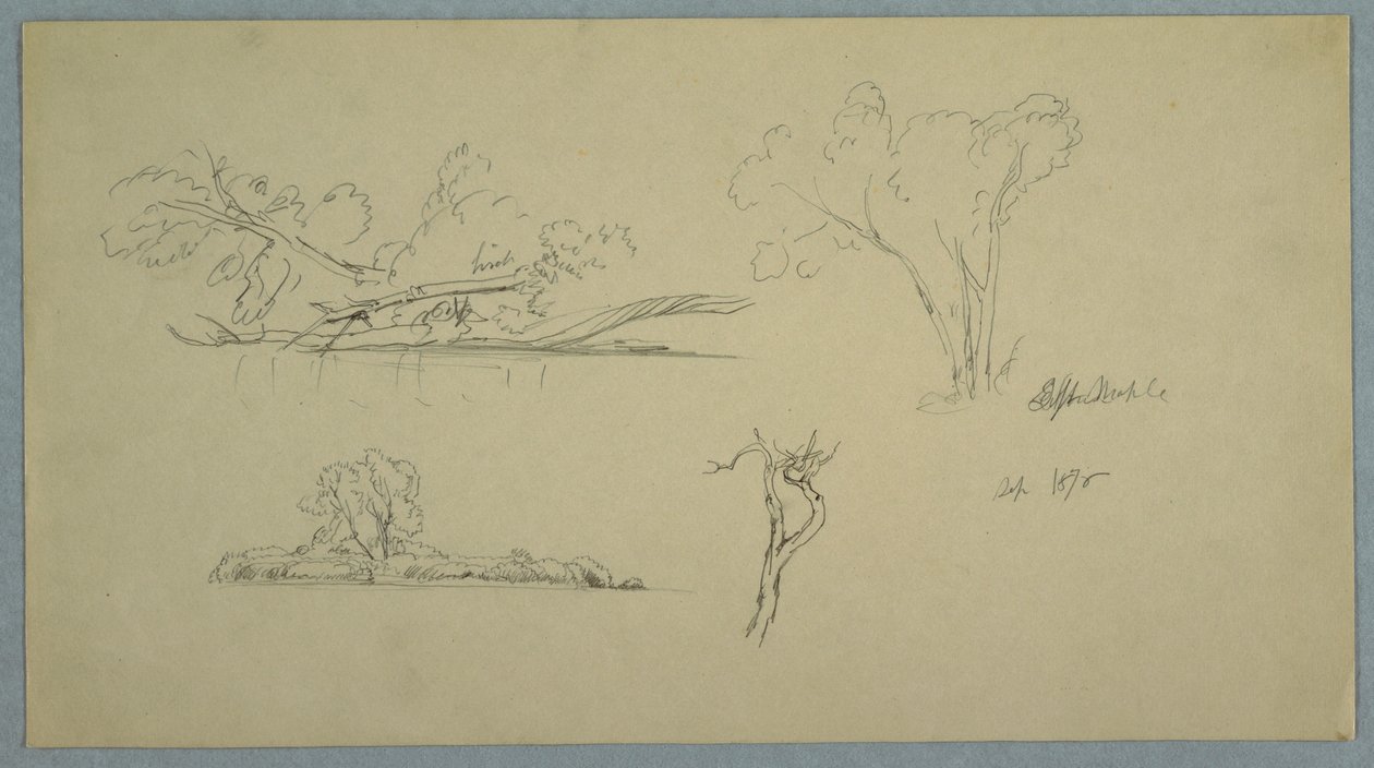 Dessin, Arbres, un rivage avec des buissons et des arbres, septembre 1876 - Frederic Edwin Church