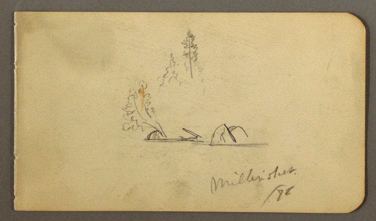 Dessin, Arbres et rochers dans l