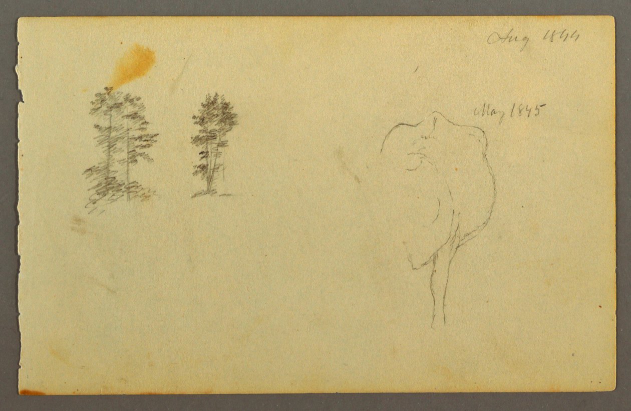 Dessin, arbres, vache, 1844 - Frederic Edwin Church