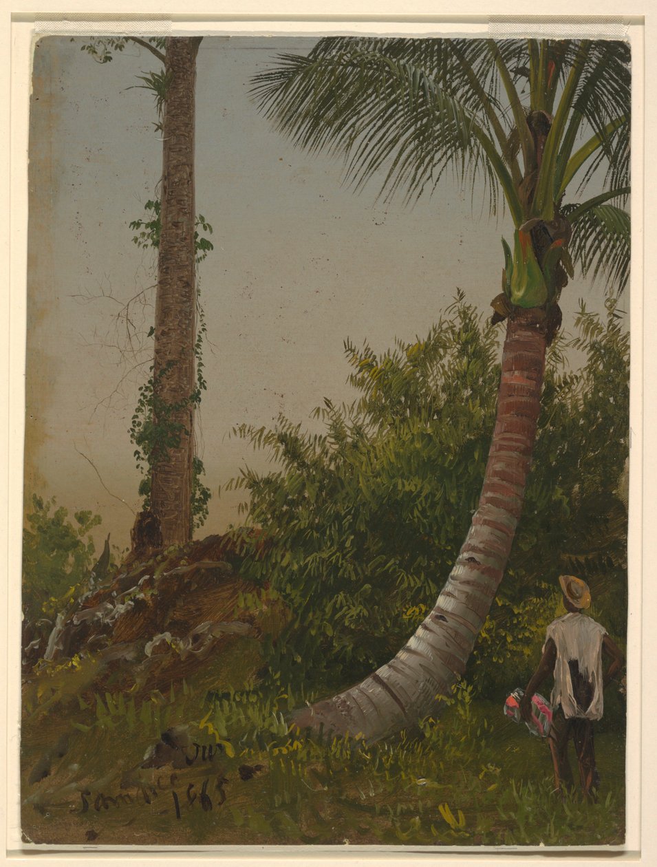 Dessin, arbres en Jamaïque, Antilles, 1865 - Frederic Edwin Church