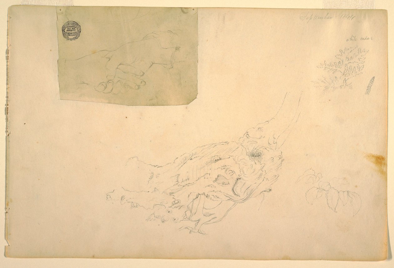 Dessin, Deux mains qui se serrent, racines d